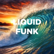 DFM Liquid Funk логотип